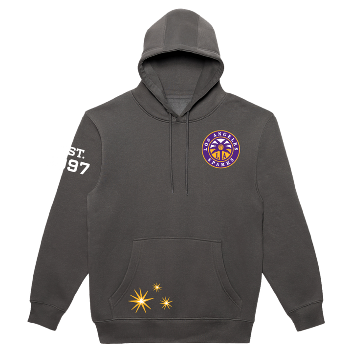 Established 1997 Anniversary Hoodie