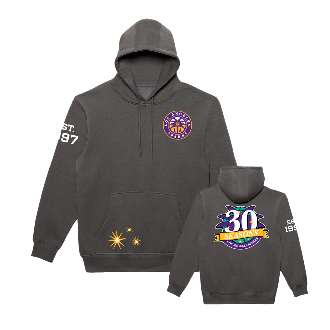 Established 1997 Anniversary Hoodie