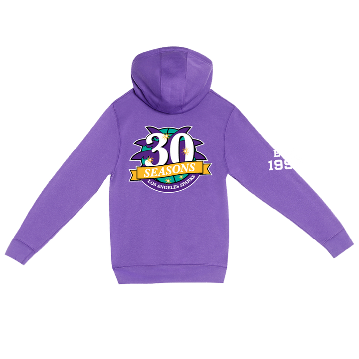 Established 1997 Anniversary Hoodie