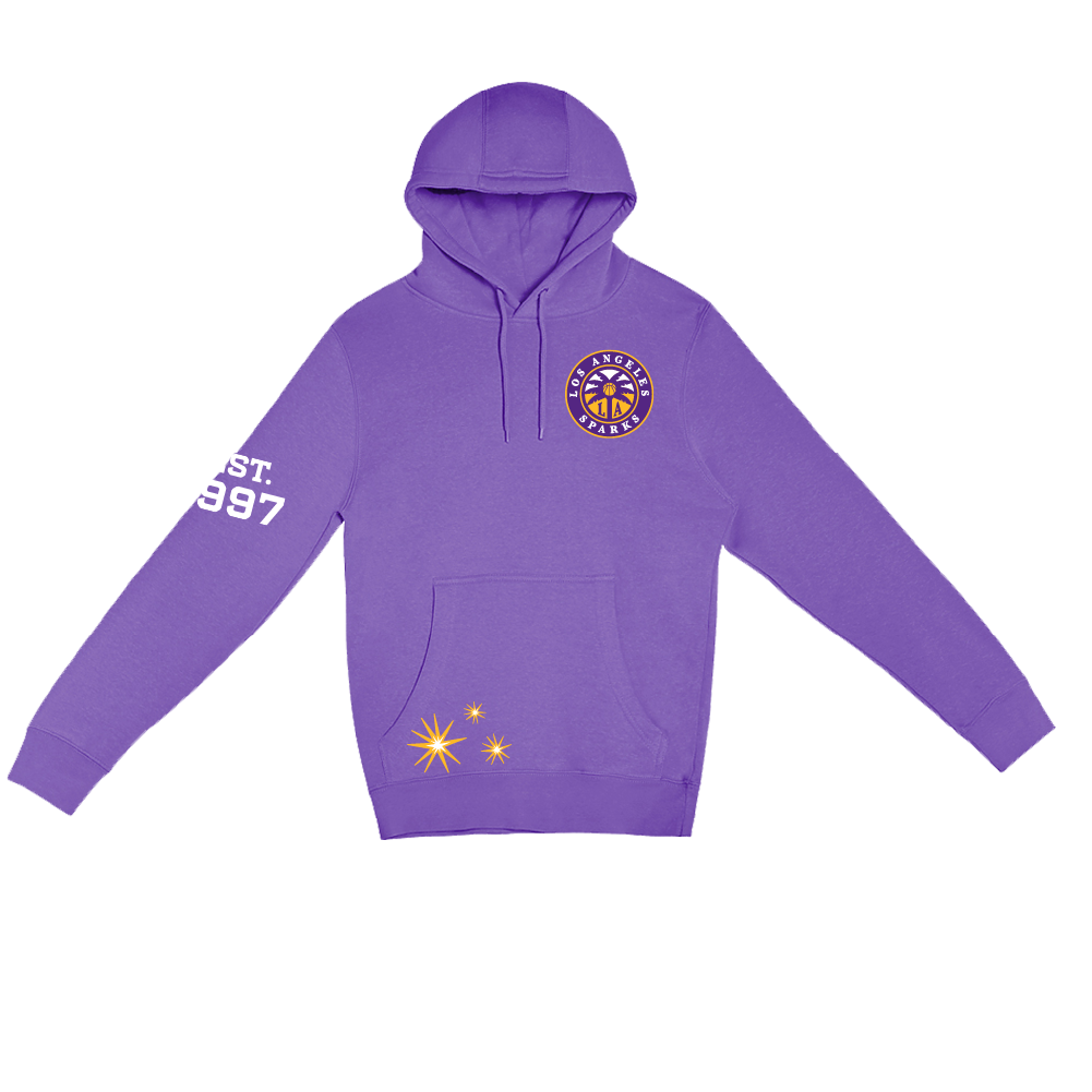 Established 1997 Anniversary Hoodie