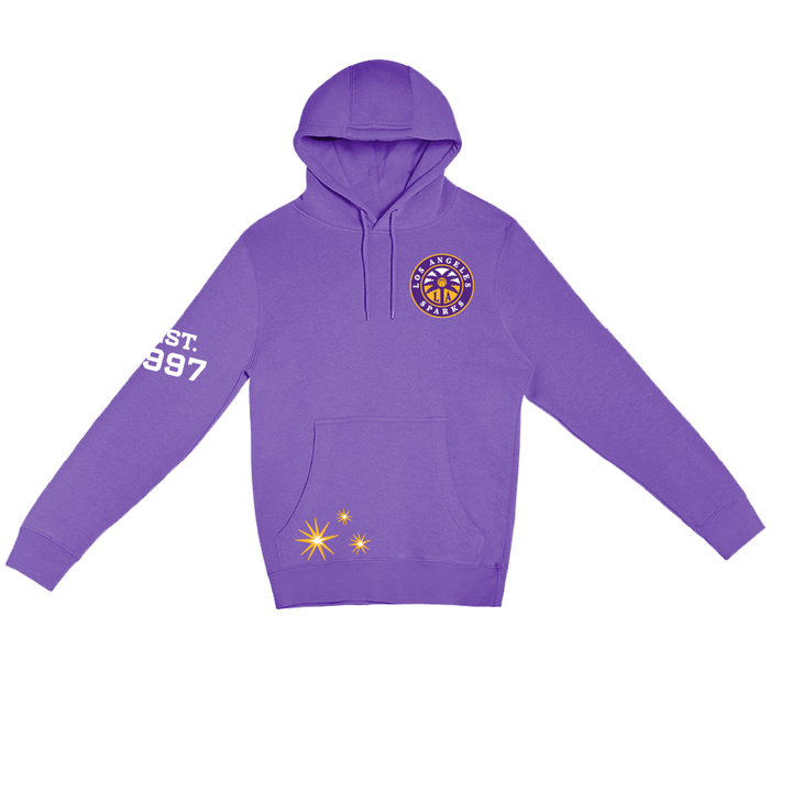 Established 1997 Anniversary Hoodie