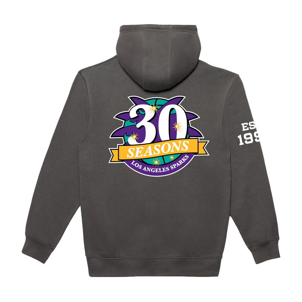 Established 1997 Anniversary Hoodie
