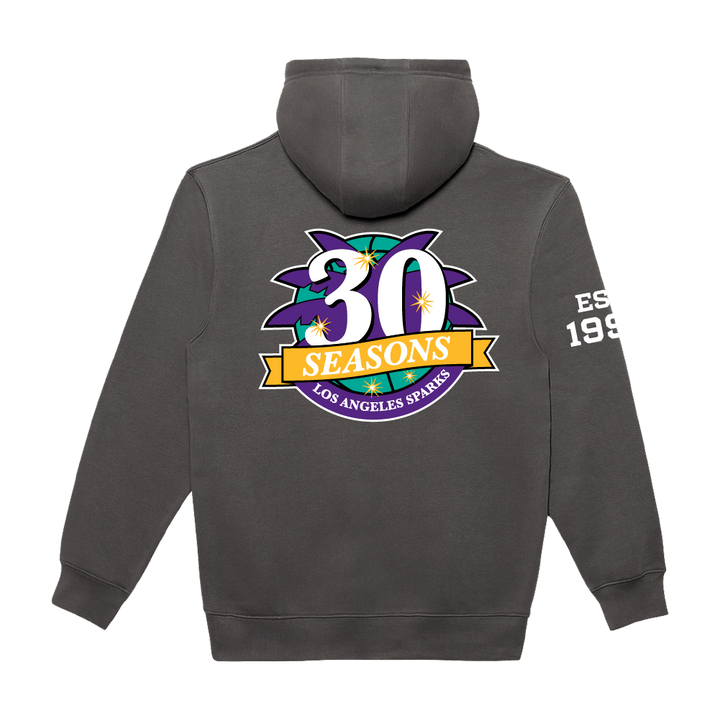 Established 1997 Anniversary Hoodie